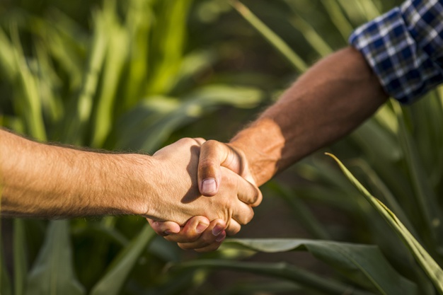 close-up-handshake-outdoors_23-2148233410